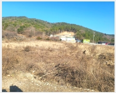  2024Ÿ15461 õ ߱ ǵ 55-1       ()