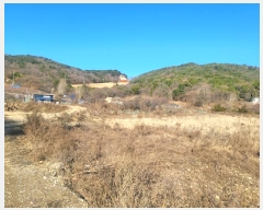  2024Ÿ15461 õ ߱ ǵ 55-1       ()