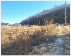  2024Ÿ15461 õ ߱ ǵ 55-1       ()