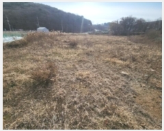  2024Ÿ15461 õ ߱ ǵ 55-1       ()