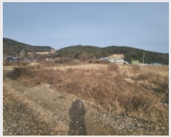  2024Ÿ15461 õ ߱ ǵ 55-1       ()