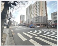  2024Ÿ507007 õ Ȧ η 158, 111104ȣ (ǵ,ī̽Ʈ)     ǽڰ