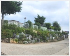  2024Ÿ535965 õ ȭ  θ 890-1      ð