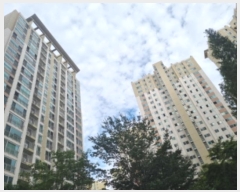  2024Ÿ��559688  ����Ʈ���