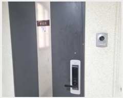  2024Ÿ��559688  ����Ʈ���