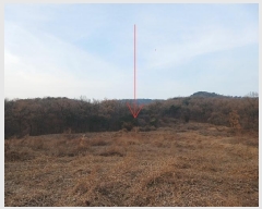  2024Ÿ582305 õ ȭ ȭ ȭ 94      (Ӿ)