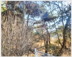  2024Ÿ582305 õ ȭ ȭ ȭ 94      (Ӿ)