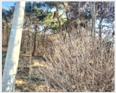  2024Ÿ582305 õ ȭ ȭ ȭ 94      (Ӿ)