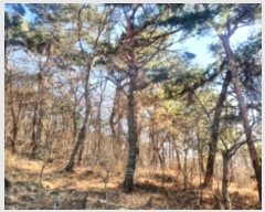  2024Ÿ582305 õ ȭ ȭ ȭ 94      (Ӿ)