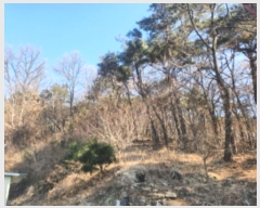  2024Ÿ582305 õ ȭ ȭ ȭ 94      (Ӿ)