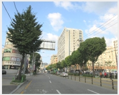  2024Ÿ��12257  �ٸ��󰡰��