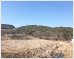  2024Ÿ��513026 ��õ �߱� ���ǵ� ��276       ����(�Ӿ�)���