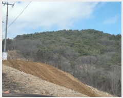  2024Ÿ��513026 ��õ �߱� ���ǵ� ��276       ����(�Ӿ�)���