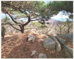  2024Ÿ��513026 ��õ �߱� ���ǵ� ��276       ����(�Ӿ�)���