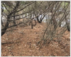  2024Ÿ��513026 ��õ �߱� ���ǵ� ��276       ����(�Ӿ�)���