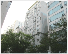  2024Ÿ524439 õ  226 35, 7701ȣ (,ص帲Ʈ)     Ʈ