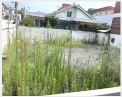  2024Ÿ��544396  ���ð��