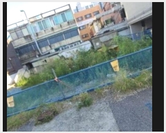  2024Ÿ561117 õ  Ͻŵ 109-31       ()