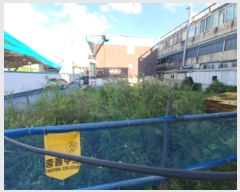  2024Ÿ561117 õ  Ͻŵ 109-31       ()