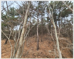  2024Ÿ��49 ��õ �߱� ���ǵ� ��172       ����(�Ӿ�)���