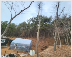  2024Ÿ��49 ��õ �߱� ���ǵ� ��172       ����(�Ӿ�)���