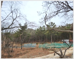  2024Ÿ��49 ��õ �߱� ���ǵ� ��172       ����(�Ӿ�)���