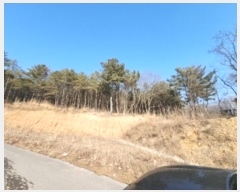  2024Ÿ��49 ��õ �߱� ���ǵ� ��172       ����(�Ӿ�)���