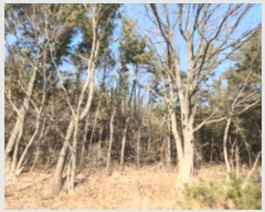  2024Ÿ��49 ��õ �߱� ���ǵ� ��172       ����(�Ӿ�)���