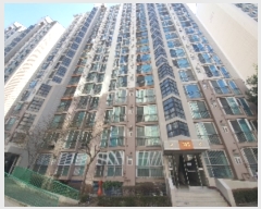  2024Ÿ520 õ   361, 101 7701ȣ (,ȭ)    Ʈ