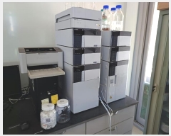  2024Ÿ6061 õ   158, 11-1139ȣ (,)     Ʈ