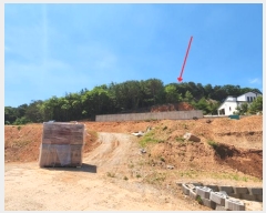  2024Ÿ7453 õ   ܸ 858-44      ð