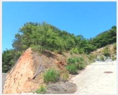  2024Ÿ7453 õ   ܸ 858-44      ð