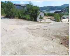  2024Ÿ7453 õ   ܸ 858-44      ð