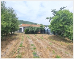  2024Ÿ7729 õ ȭ  Ｚ 307-2      ð