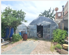  2024Ÿ7729 õ ȭ  Ｚ 307-2      ð