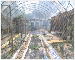  2024Ÿ7729 õ ȭ  Ｚ 307-2      ð