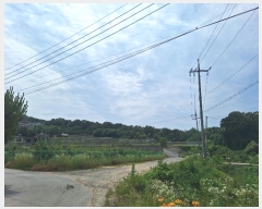  2024Ÿ��538865 ��õ �߱� �߻굿 1216-24       ����(�Ӿ�)���