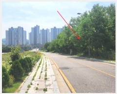  2024Ÿ��538872  �������