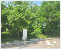  2024Ÿ��538872  �������