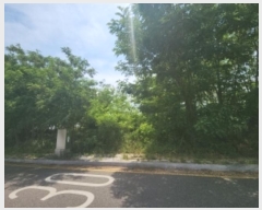  2024Ÿ��538872  �������