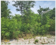  2024Ÿ��538872  �������