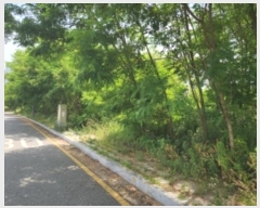  2024Ÿ��538872  �������