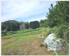  2024Ÿ��544235  �Ӿ߰��