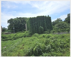  2024Ÿ��544235  �Ӿ߰��