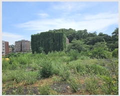  2024Ÿ��544235  �Ӿ߰��