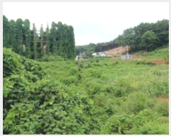  2024Ÿ��544235  �Ӿ߰��