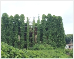  2024Ÿ��544235  �Ӿ߰��