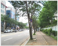  2024Ÿ545771 õ  1440 29, 104 2204ȣ (ձ浿,Ÿī̺帲)    Ʈ