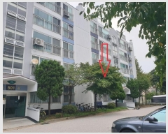  2024Ÿ556948 õ ߱ ŵúϷ43 83, 501 2207ȣ (,ǳ̿Ʈ)    Ʈ