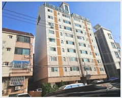  2024Ÿ��562011  ����Ʈ���